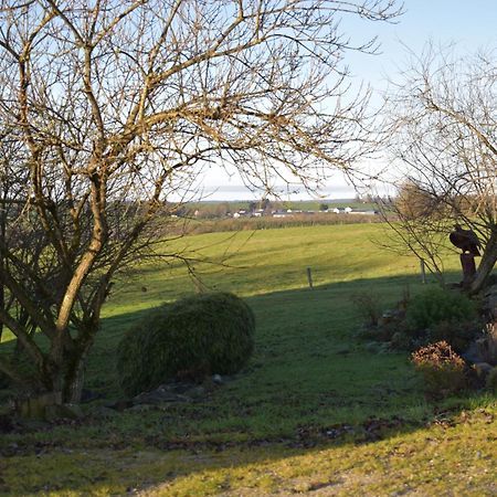 Gite Du Cheval Blanc Sainte-Ode Экстерьер фото