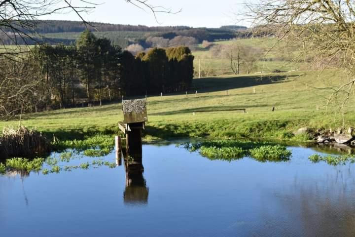 Gite Du Cheval Blanc Sainte-Ode Экстерьер фото