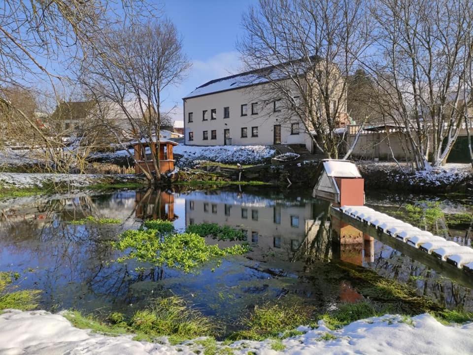 Gite Du Cheval Blanc Sainte-Ode Экстерьер фото